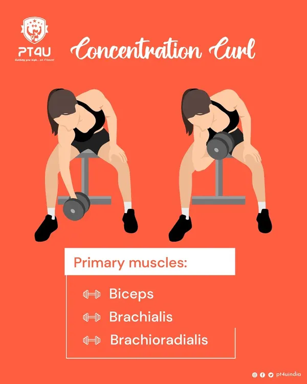 This guide provides a detailed breakdown of the dumbbell concentration curl. It explains proper form, common mistakes to avoid, and tips for targeting the bicep peak effectively for muscle growth.
