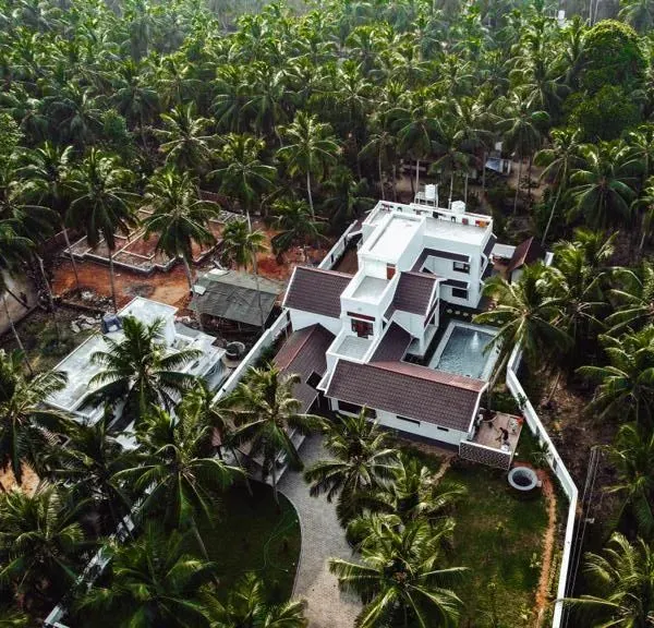 An aerial perspective of the 'Coconut Cove' project, a residence designed to be enveloped by its lush, natural surroundings. The master plan carefully positioned the home to save the majority of the coconut trees, making them the central feature of the property.