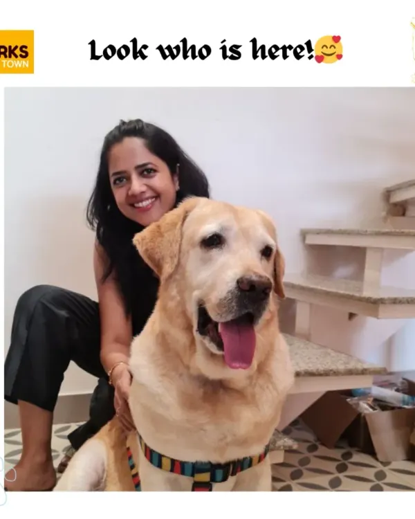 A warm welcome from me and a happy Labrador client. Building a bond with every pet is at the heart of what we do, ensuring they feel safe and loved.