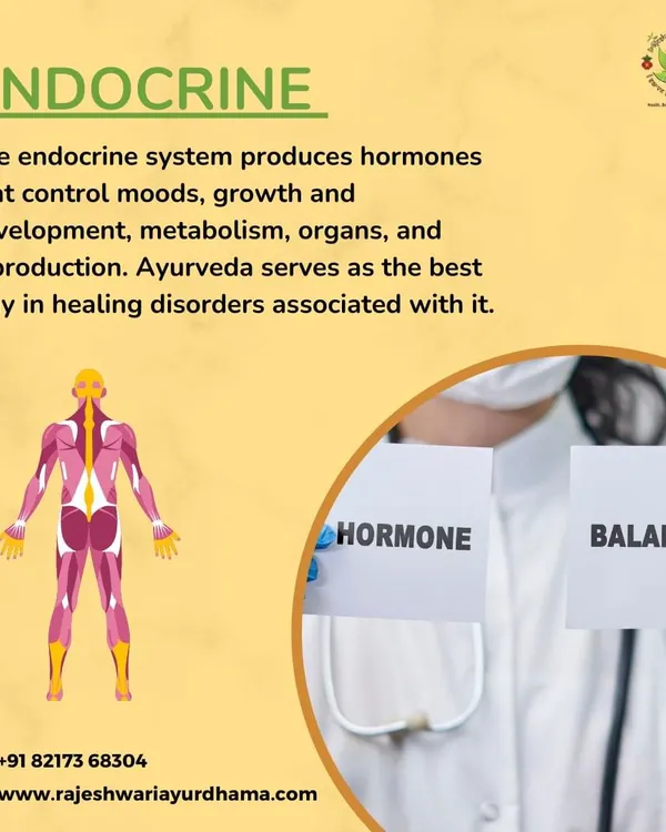 We specialize in treating endocrine system disorders. Ayurveda provides a powerful framework for healing hormonal imbalances that control mood, metabolism, and growth by addressing the root cause.