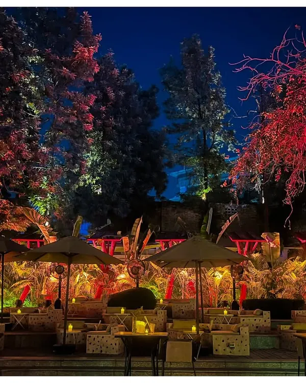A wide view of the 'Neon Jungle' setup, where I used a combination of red and white uplighting on the trees to create a dramatic contrast against the night sky, transforming the outdoor space into a wild, atmospheric party zone.