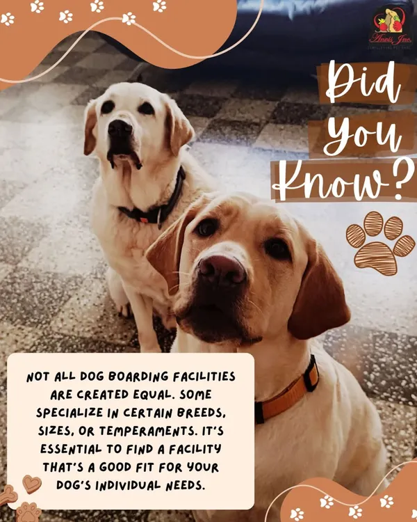 Did you know that not all dog boarding facilities are the same? It's important to find one that fits your dog's individual needs, temperament, and size.
