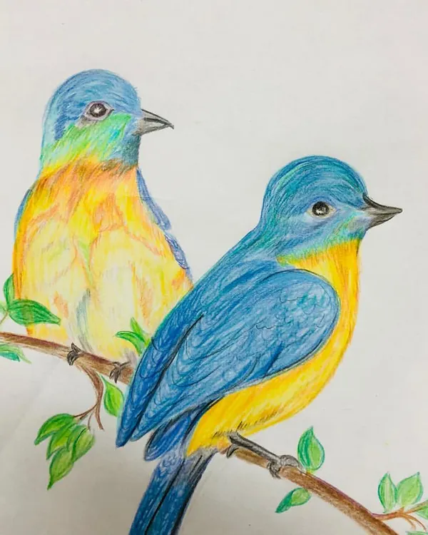 Learning to blend colors smoothly is a key skill I teach. This drawing of two birds shows how my student used multiple shades of blue, yellow, and orange to create a soft, realistic feather effect.
