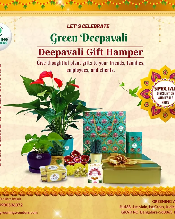 A complete Deepavali gift hamper, featuring a vibrant red anthurium plant, a smaller money plant, traditional diyas, sweets, and a beautifully designed gift bag. This is a perfect example of our premium festive corporate gifting solutions.