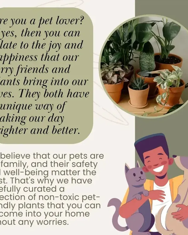 As a pet lover, I know the joy our furry friends and plants bring. That's why we've carefully curated a collection of non-toxic, pet-friendly plants you can welcome home without any worries.