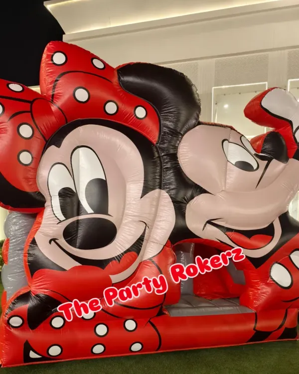 A bouncy castle is always a huge hit with the kids! I can arrange for various themed bouncy castles, like this Mickey and Minnie Mouse one, for any outdoor or large indoor party.