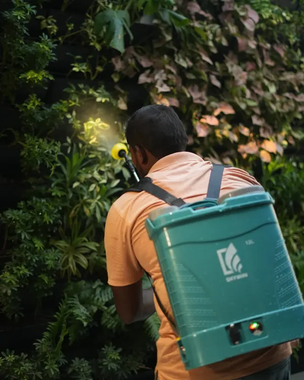Our maintenance team provides meticulous care, ensuring every leaf on this living wall gets the attention it needs to thrive.