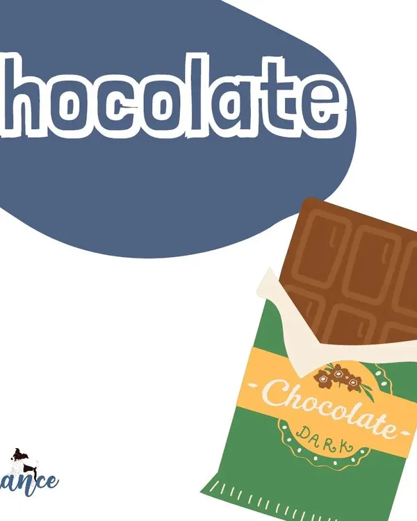 Chocolate, especially dark chocolate, is highly toxic to dogs. Always keep it well out of reach and contact a vet immediately if you suspect your dog has eaten any.