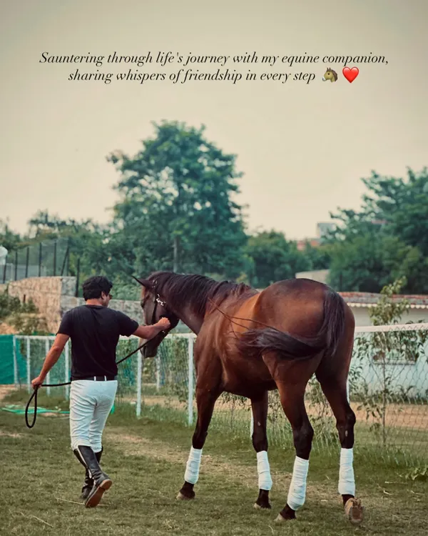 This is the goal of my matchmaking service: a rider and horse walking together in complete harmony, sharing a journey built on friendship.