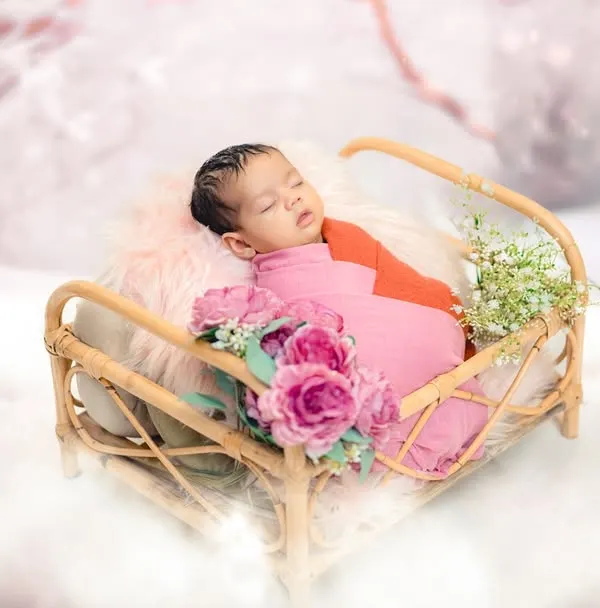 A magical winter wonderland theme created right in the studio. I use soft, cloud-like fluff, a rustic wicker bed, and a snowy backdrop to transport your baby into a dreamy, fantastical scene.