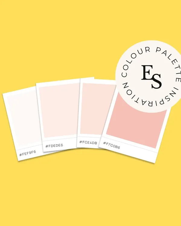 Color is the foundation of a brand's visual mood. This image showcases a soft and feminine color palette inspiration, featuring shades of pink, perfect for beauty, wellness, or lifestyle brands.