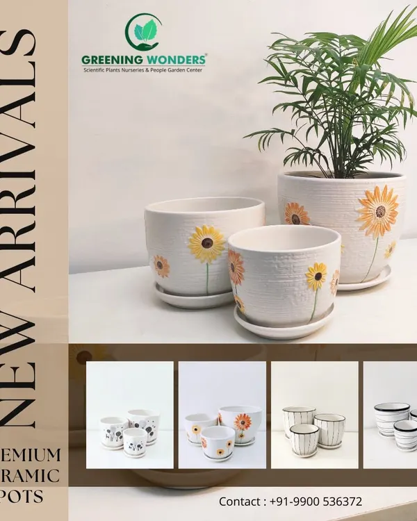Our new arrivals include these beautiful premium ceramic pots with a sunflower motif. Available in a set of three sizes, they come with matching saucers to protect your surfaces and ensure proper drainage.
