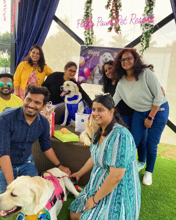 A beautiful group photo from Chris the Golden Retriever's birthday party. We provide the perfect backdrop for friends, family, and furry pals to celebrate together.