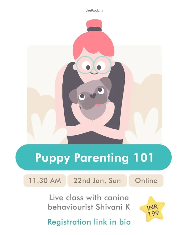 Bringing a new puppy home is exciting but can also be overwhelming. This is an ad for my "Puppy Parenting 101" class, where I cover everything you need to know to get started on the right foot, from house-proofing to initial training.