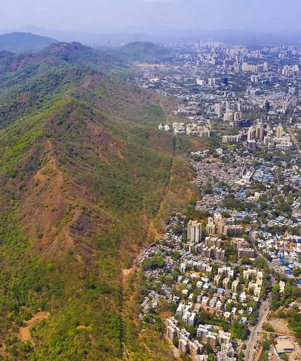 This aerial view shows the stark boundary between the green expanse of Sanjay Gandhi National Park and the dense urban sprawl of Mumbai. This is the frontline of human-wildlife interaction, a 9000-hectare forest in the heart of a megacity.
