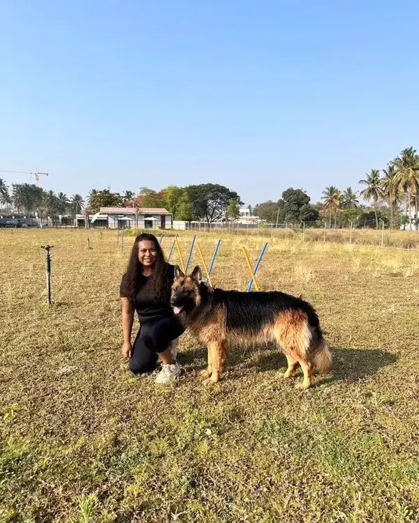 Training is so much more than just commands. It's about building a relationship based on mutual trust. When your dog trusts you, solving most behavior issues becomes so much easier.