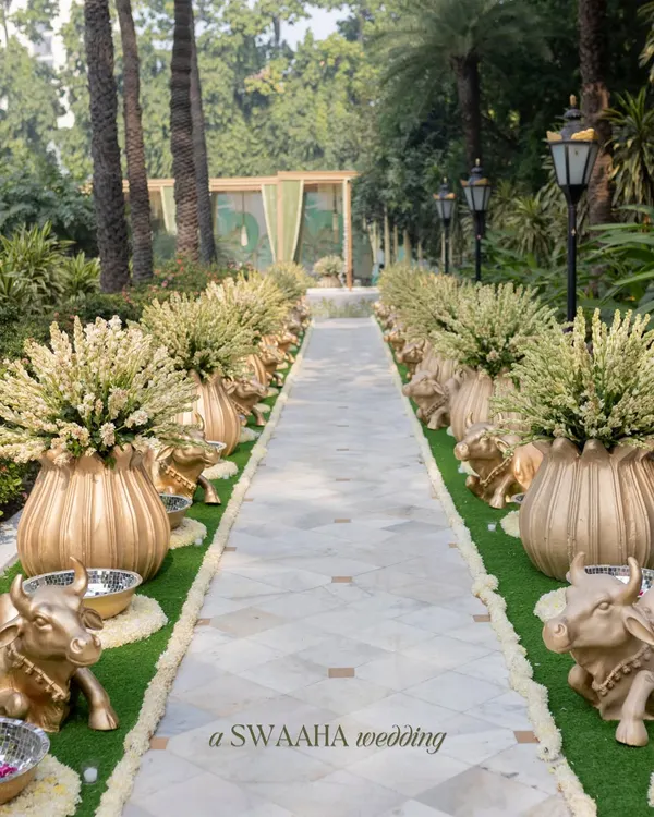 An elegant and traditional Haldi walkway. The path is lined with golden cow statues and large brass urns filled with tuberose, creating a serene and auspicious entrance for the ceremony.