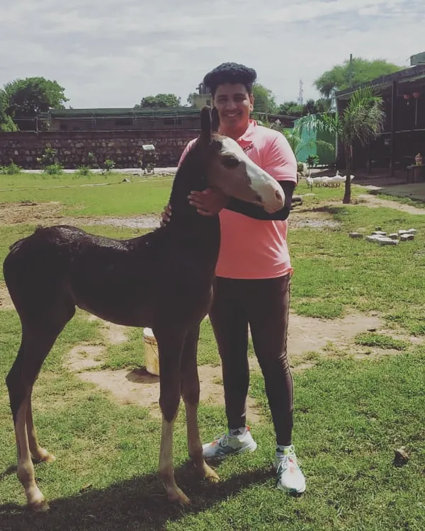 The journey starts here. I love raising our horses from when they are just colts, building a foundation of trust and care that lasts a lifetime.