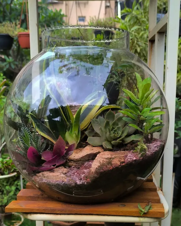 This large glass bowl terrarium is a little world of its own. I create these miniature ecosystems with a mix of succulents, Sansevieria, and natural stones to make a lasting centerpiece for any space.
