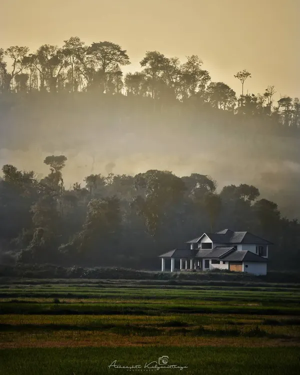 An atmospheric shot of a solitary house in the Malnad region, surrounded by misty forests and paddy fields during the golden hour.