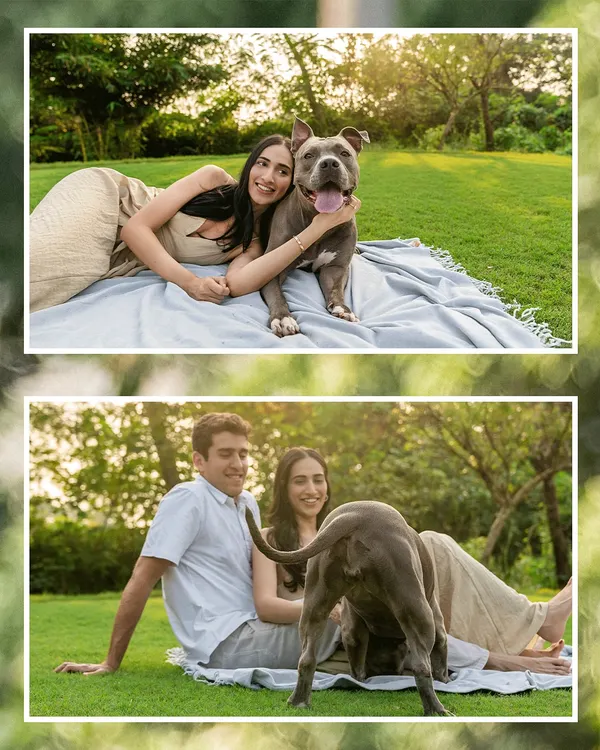 A collage from an Alibaug engagement shoot, featuring Millie the pitbull. The images capture both a loving portrait with her mom and a funny, real-life moment of her photobombing the couple.