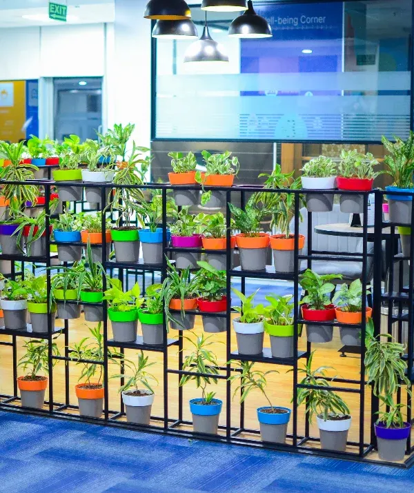 This is how we turn an ordinary office corner into a vibrant, living feature wall. This custom tiered installation for a corporate client uses a variety of easy-care plants in colorful pots to create a natural partition, boosting both air quality and employee morale.