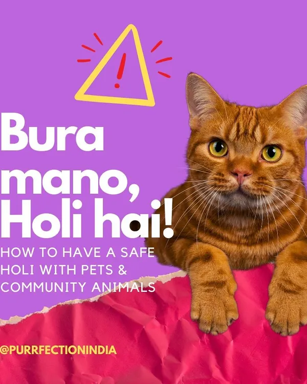 Bura mano, Holi hai! This is your friendly reminder on how to have a safe Holi with pets and community animals. Let's keep the celebrations fun for everyone, including our four-legged friends.
