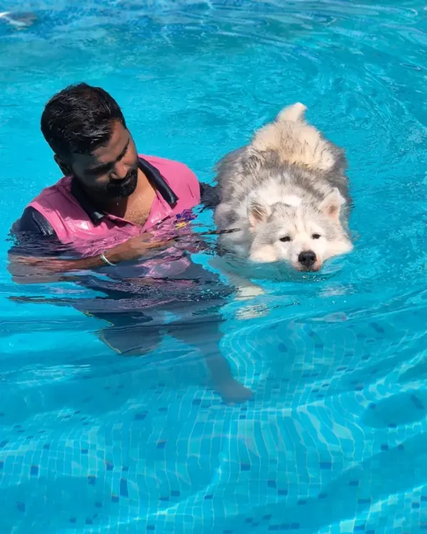 Here I am with a beautiful Husky during her swim session. We stay in the water with them to ensure they feel safe and confident, especially if they are new to swimming.