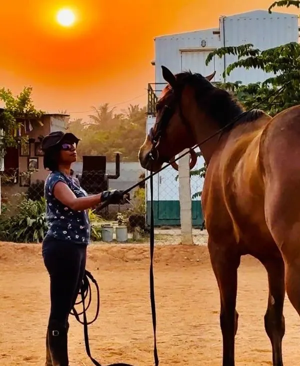 This is the heart of what I do. It's about finding a quiet moment of connection with these magnificent beings, where communication happens without a single word. This partnership is the foundation for all learning and healing.