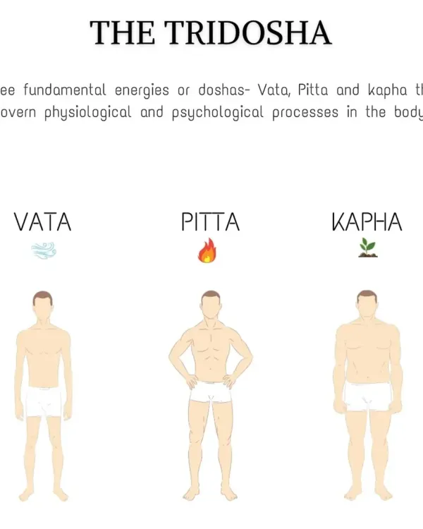 This infographic introduces the three Ayurvedic doshas: Vata, Pitta, and Kapha. Understanding your fundamental energy helps in creating a diet plan that balances your body's natural tendencies.