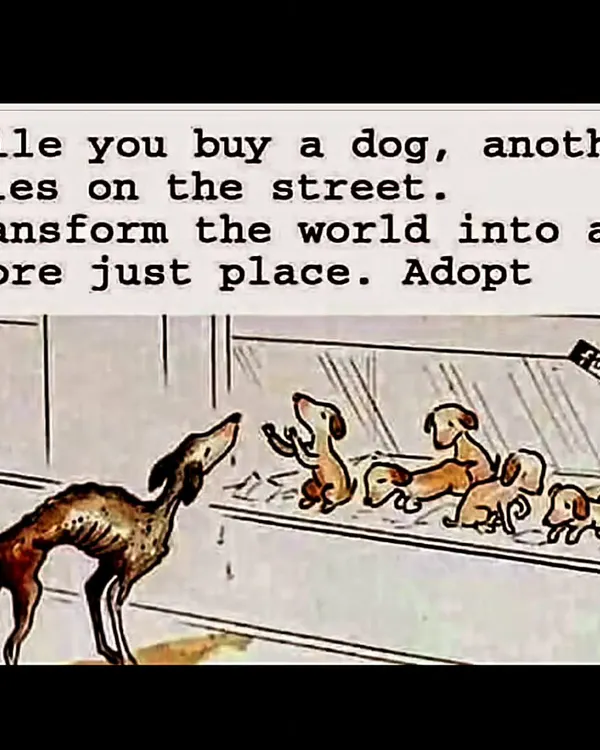 While you buy a dog, another dies on the street. This cartoon is a heartbreaking depiction of the truth. Transform the world into a more just place. Adopt.