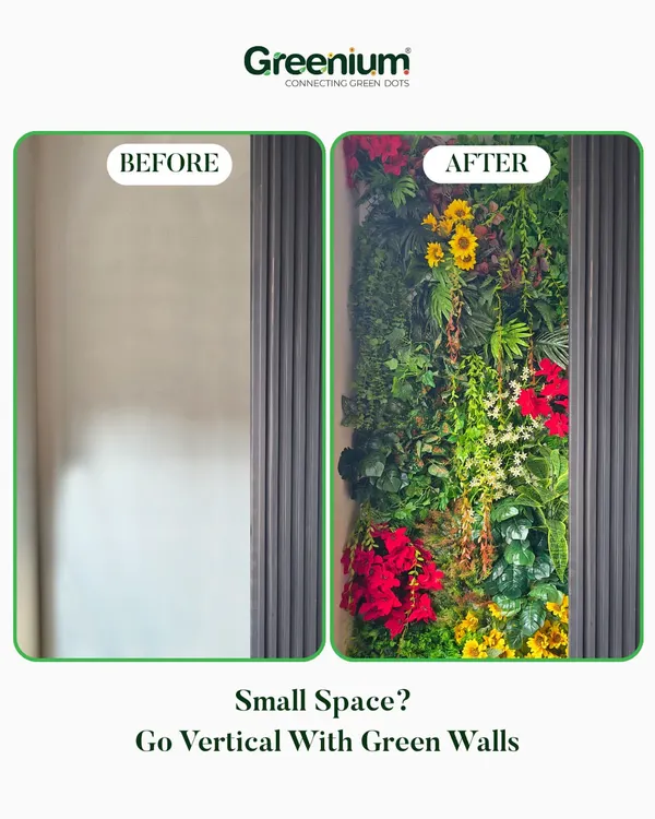 This before-and-after shot perfectly captures the dramatic impact of a vertical garden. A dull, empty wall is instantly transformed into a vibrant and colorful focal point.