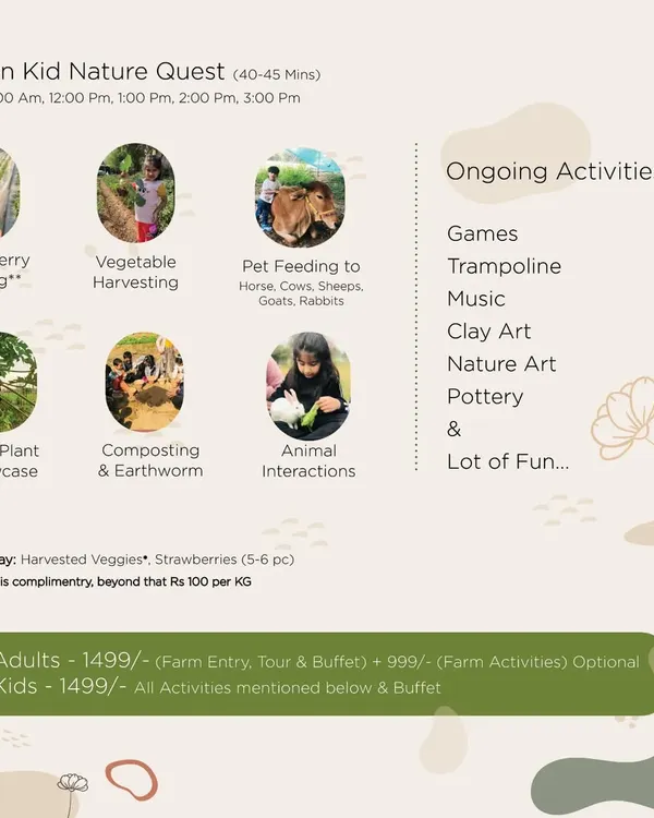 An overview of the activities available during our New Year's event. It includes everything from strawberry picking and pet feeding to games and clay art.