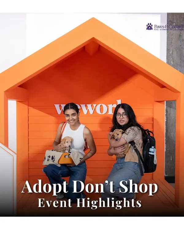 We were thrilled to be part of this "Adopt Don't Shop" event. This image captures the joy of two new pet parents who found their forever friends, showcasing the heartwarming success of the day.