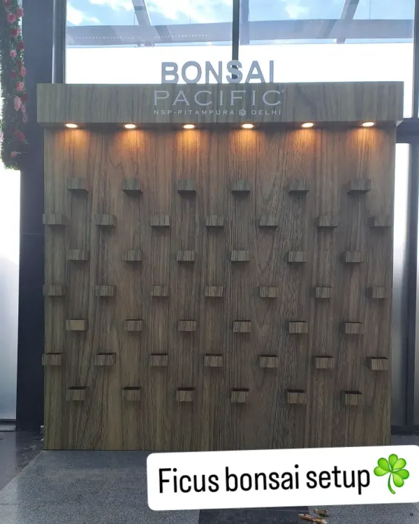The foundation of our Ginseng Ficus Bonsai wall at Pacific Mall. We designed and built this custom wooden display with integrated lighting to showcase each individual bonsai tree as a piece of art.
