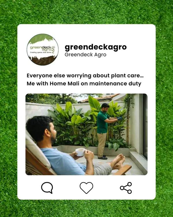 Relax and enjoy your coffee while our Home Mali takes care of the hard work. We provide reliable, on demand garden maintenance so you can have a beautiful garden, stress free.