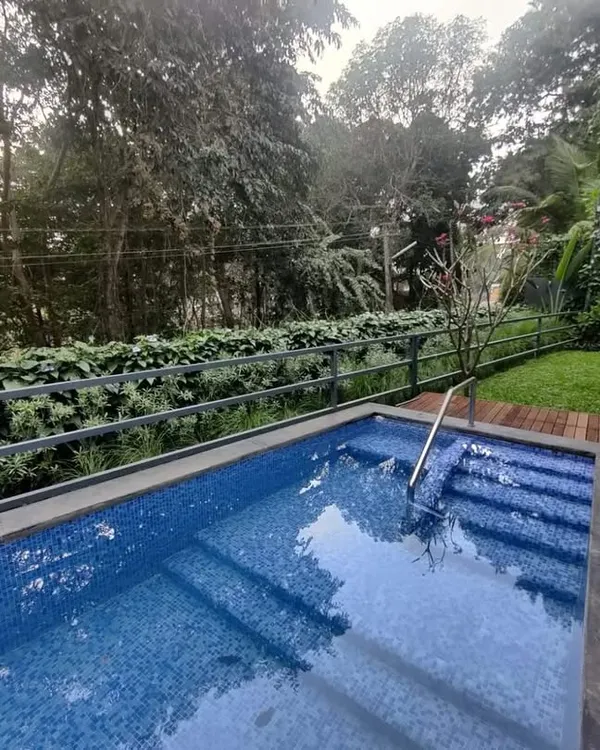 A perfect example of a plant-powered privacy screen. This living wall around a villa's pool deck offers complete seclusion while creating the feeling of being in a private, natural retreat. It's a functional and beautiful landscaping solution.