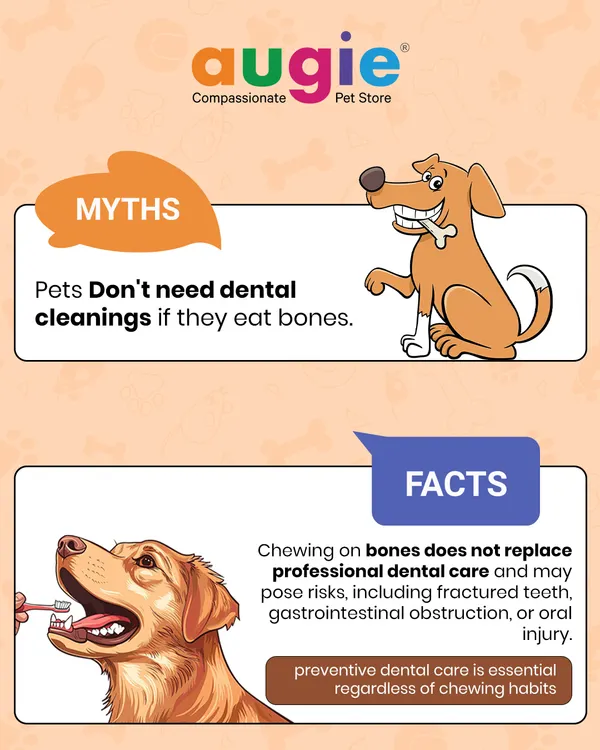 Let's bust a common myth! Chewing on bones does not replace professional dental care and can even pose risks like fractured teeth. Preventive dental care is essential for your pet's health.