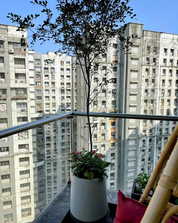 A single, elegant tree in a modern planter can make a powerful statement, even on a small balcony against a dense city backdrop.