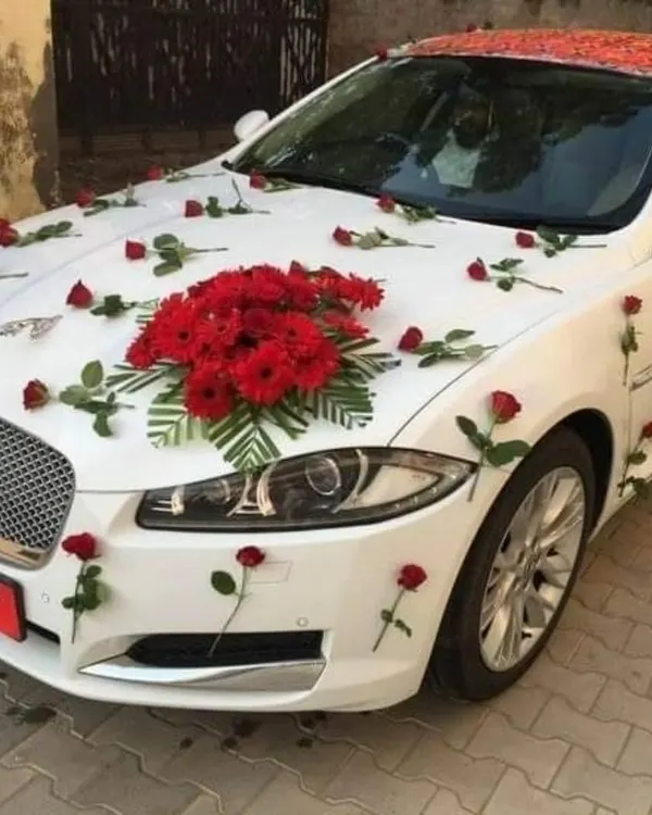 An elegant wedding car decoration for a white Jaguar. The design uses a simple bouquet of red gerberas on the hood and scattered single red roses for a classy look.