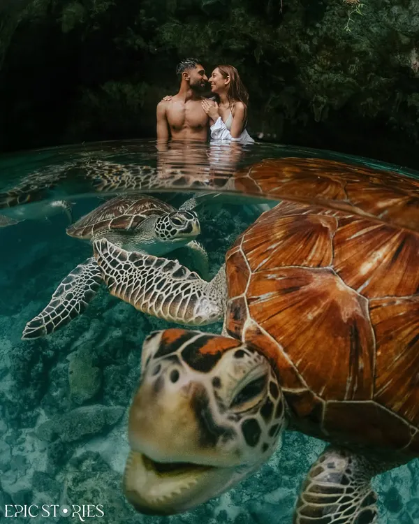 This is one of those frames that I had dreamt of creating for years. A couple in love, crystal clear water, and the gentle giants of the sea joining them. It took patience and a bit of magic, but moments like these remind me why I do what I do. It’s about capturing a once in a lifetime story.