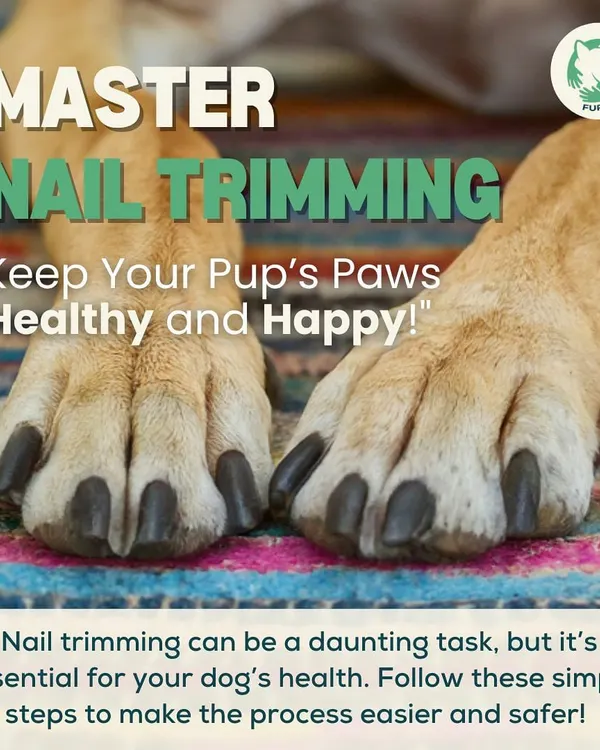 Master the art of nail trimming. This guide is the first step to keeping your pup's paws healthy. Regular trims are crucial for their comfort and posture.