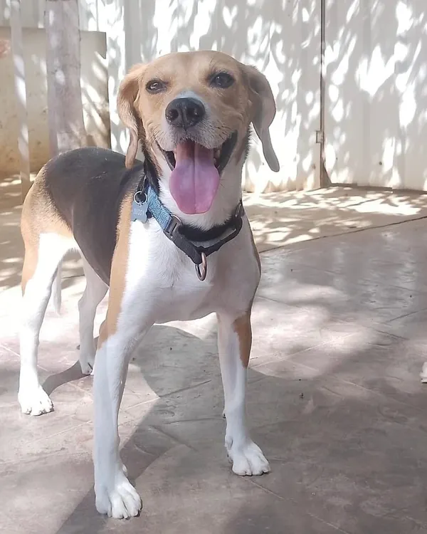 Jughead is popping up to say hello! His happy face is a great reminder of the joyful energy our guests bring to Stay.