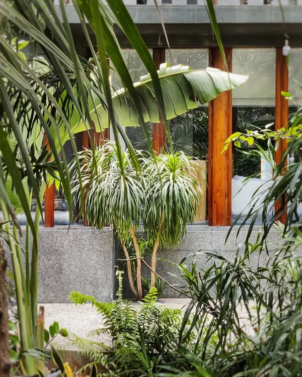 A ground-floor garden is a true luxury in a city like Mumbai. For this rare find, we helped layer the existing wild slice of land by adding texture, depth, and a variety of green foliage.