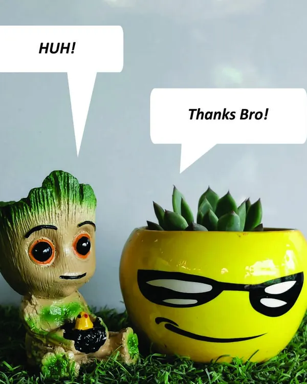 I love creating playful arrangements that bring a smile. This scene shows my popular Groot planter having a "conversation" with a cool emoji-faced pot holding a succulent, perfect for a fun and unique gift.