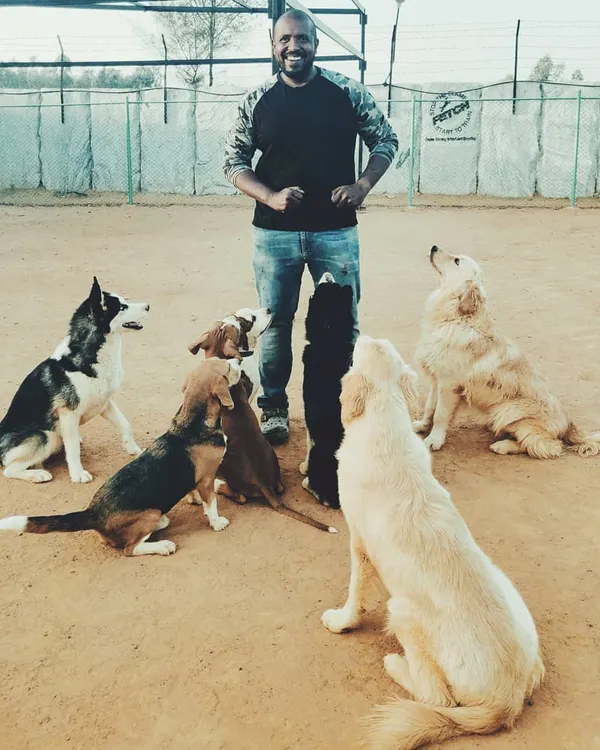 This is what a balanced pack looks like. I am surrounded by dogs of different breeds, sizes, and temperaments, all coexisting calmly. My facility provides the perfect environment for dogs to learn crucial social skills.