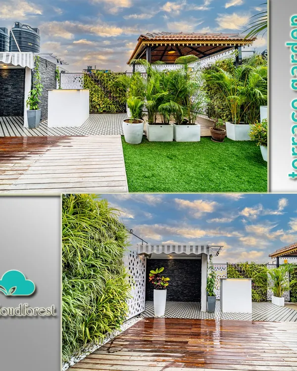 This collage shows a complete terrace makeover, combining a living vertical wall with rich wooden decking and clean white planters. I designed this space to be a functional and beautiful extension of the home, perfect for relaxing or entertaining.