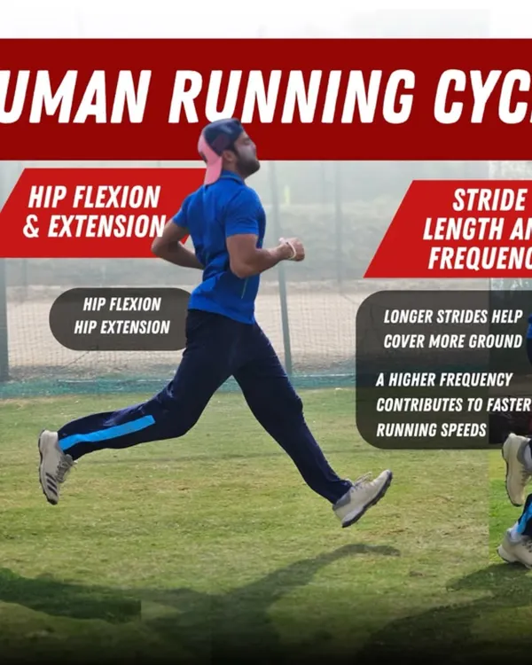 Understanding the mechanics of running is key to improving your speed. We break down the human running cycle, focusing on hip flexion and extension, as well as stride length and frequency.