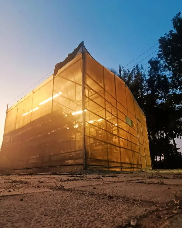 One of my hydroponic pods at sunset. This self-contained greenhouse creates the perfect micro-environment for your plants to flourish, protecting them from pests and harsh weather.