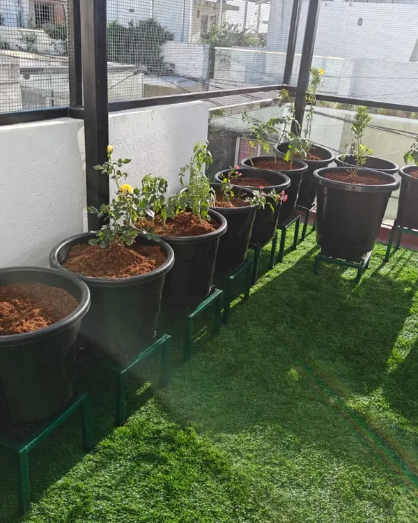 A newly installed garden on a terrace, featuring lush artificial turf that provides a soft, green base for the potted plants. The metal stands elevate the pots, ensuring good drainage and easy cleaning of the turf below.